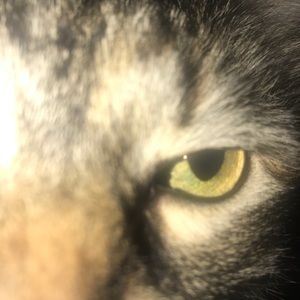 Meet your Posher, Patty